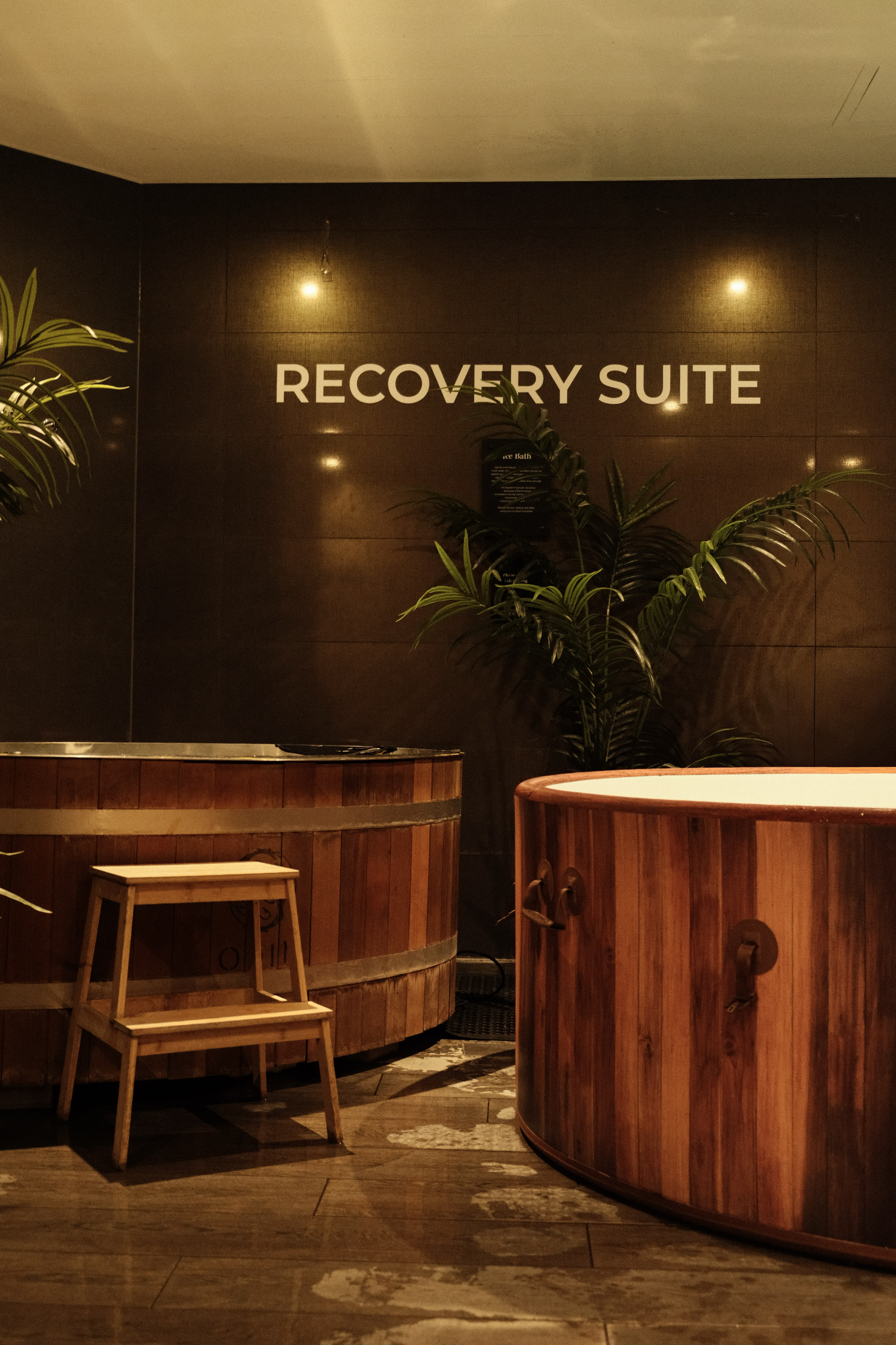 Recovery Suite